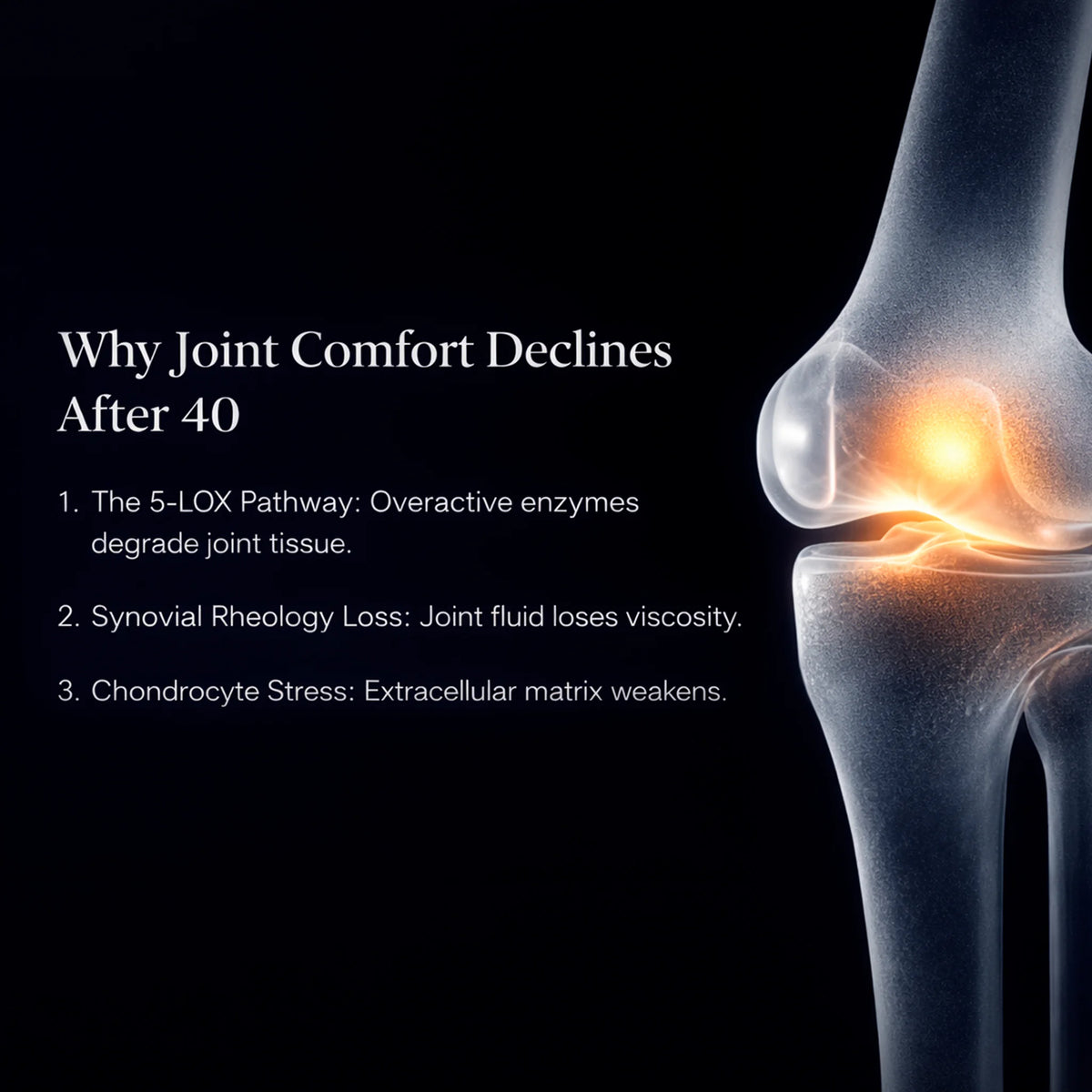 OsteoGuard — Molecular Joint & Mobility Support