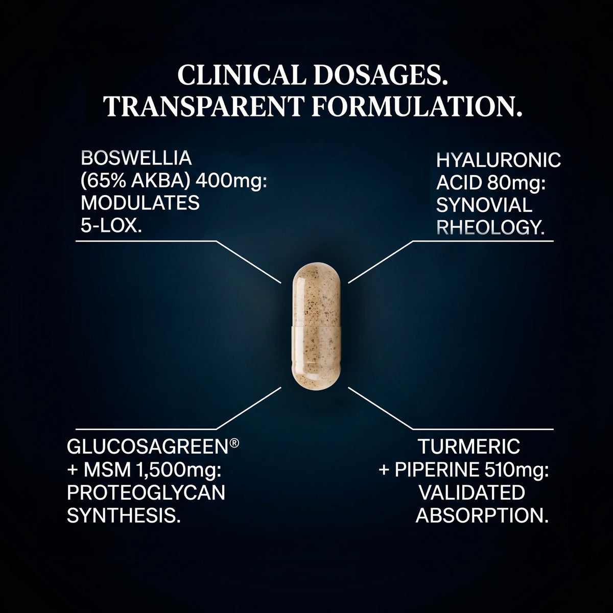OsteoGuard — Molecular Joint & Mobility Support