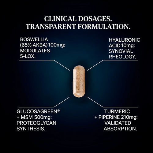 OsteoGuard · Molecular Joint & Mobility Support