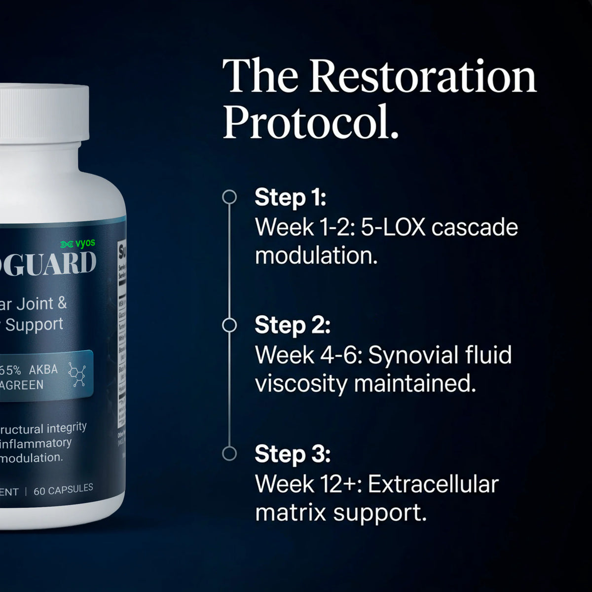 OsteoGuard — Molecular Joint & Mobility Support